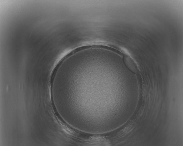 X0000061151320200511241820