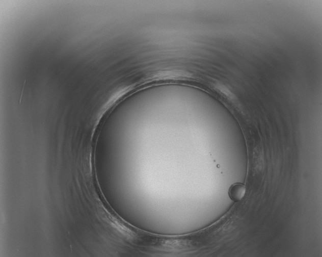 X0000061151322200511241820