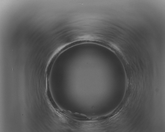 X0000061151323200511241820