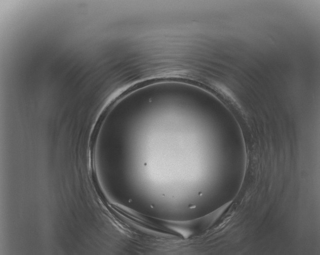 X0000061151324200511241820