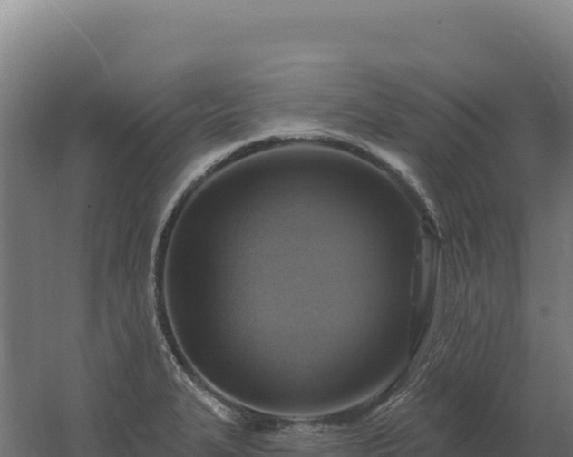 X0000061151327200511241820