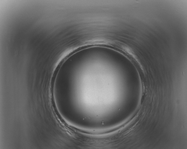 X0000061151328200511241820