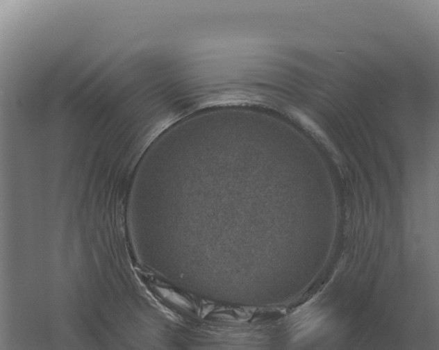 X0000061151329200511241820