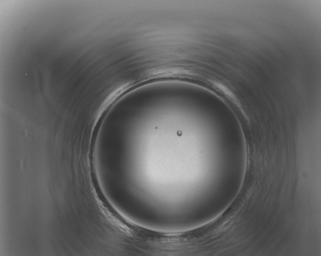 X0000061151330200511241820