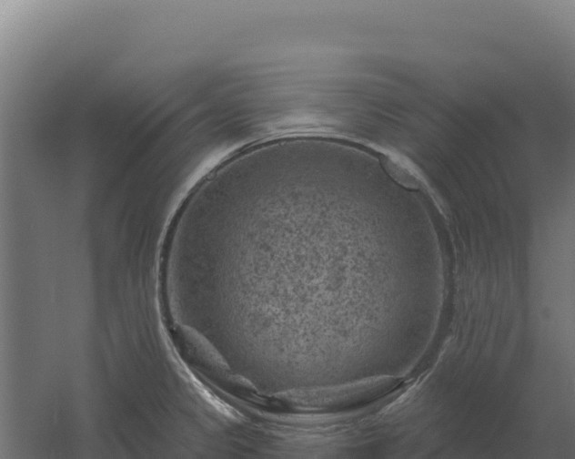 X0000061151333200511241820