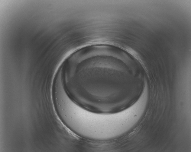 X0000061151334200511241820