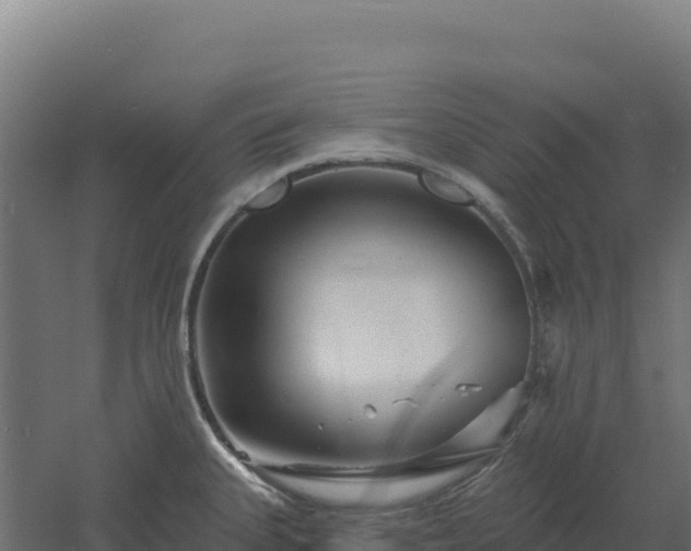 X0000061151335200511241820