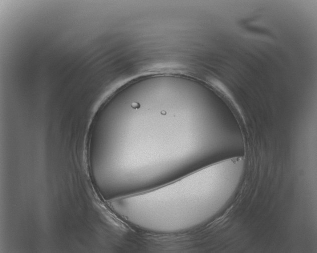 X0000061151336200511241820