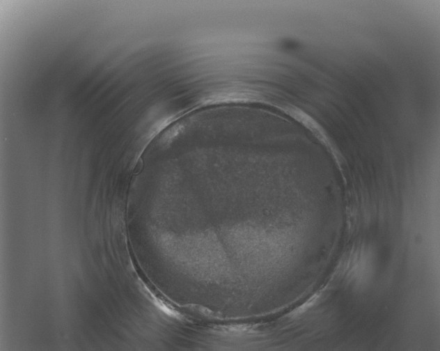 X0000061151337200511241820