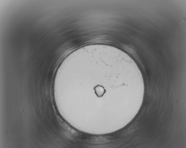 X0000061151338200511241820