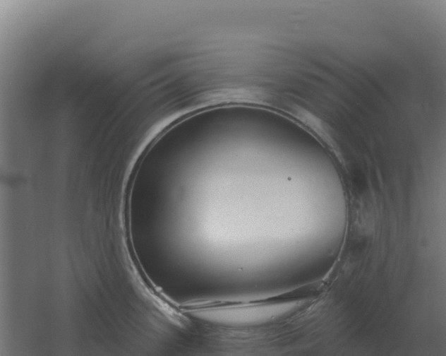 X0000061151339200511241821