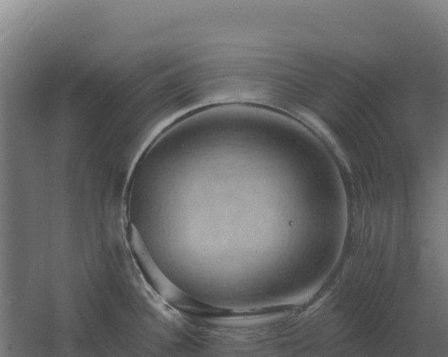 X0000061151340200511241821