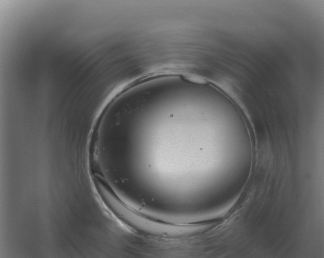 X0000061151341200511241821