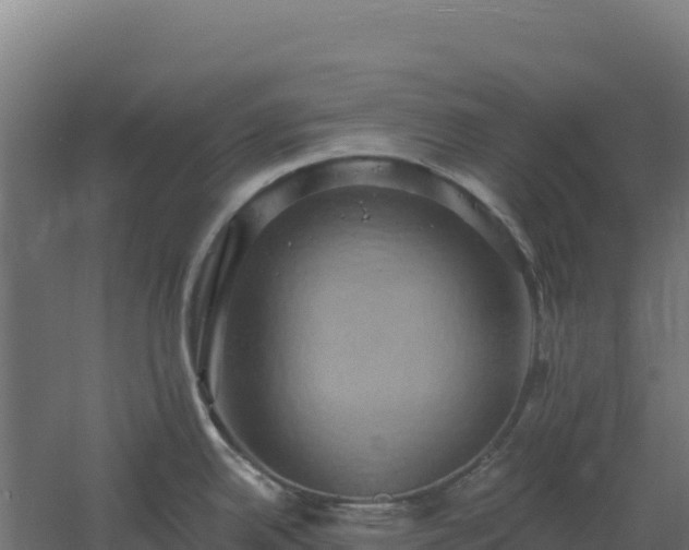 X0000061151342200511241821