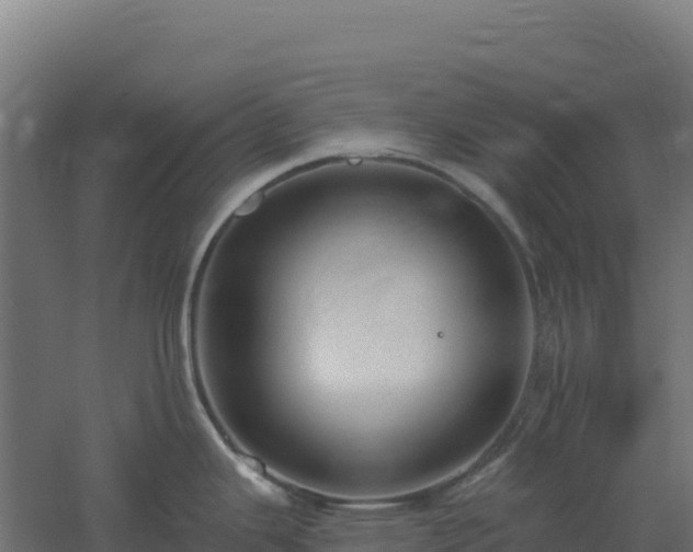 X0000061151343200511241821