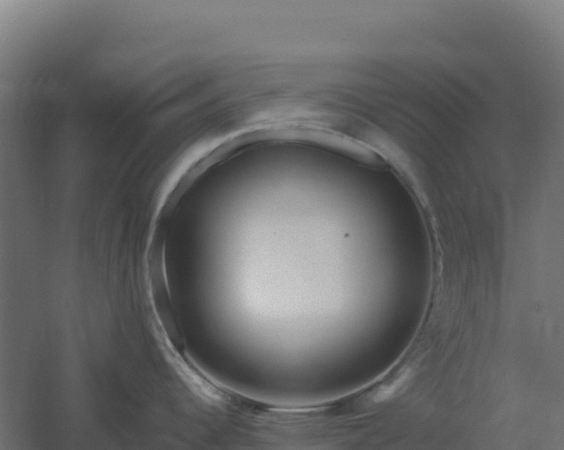 X0000061151344200511241821