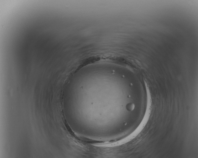 X0000061151345200511241820