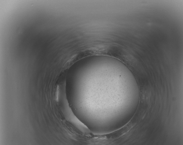 X0000061151346200511241820