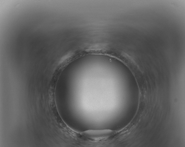 X0000061151350200511241820