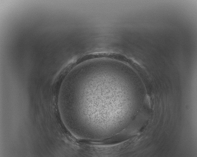 X0000061151351200511241820