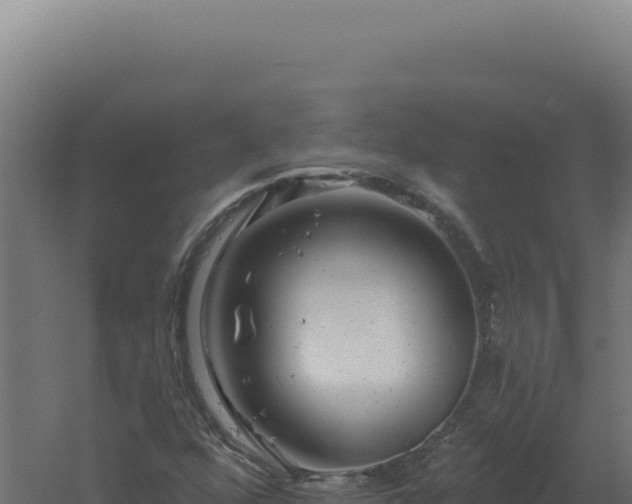 X0000061151352200511241820