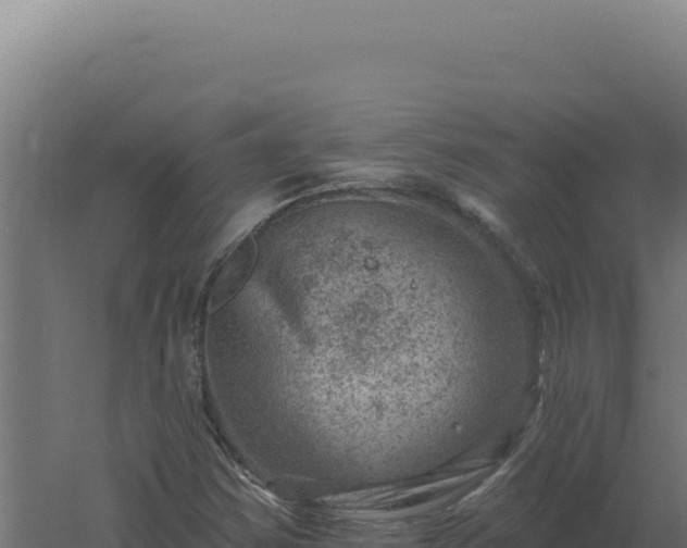 X0000061151354200511241820