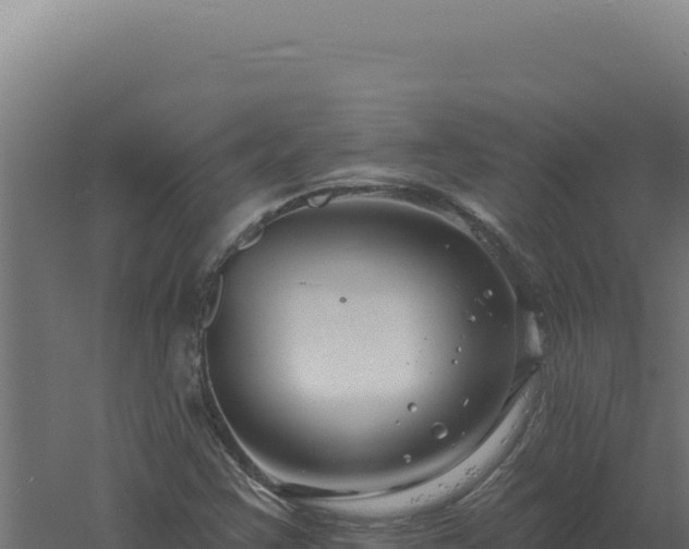 X0000061151355200511241820