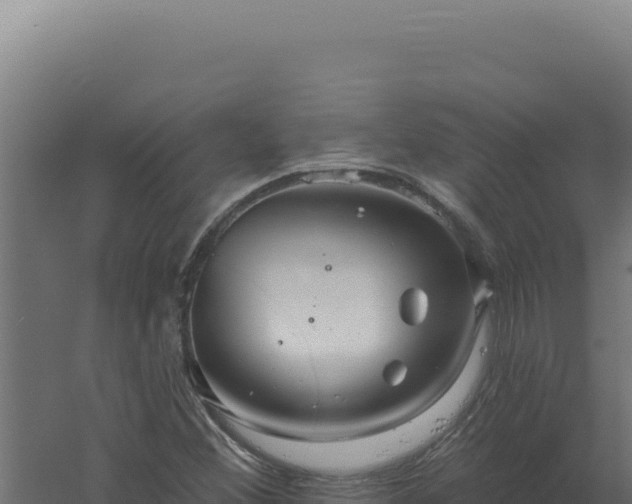 X0000061151356200511241820