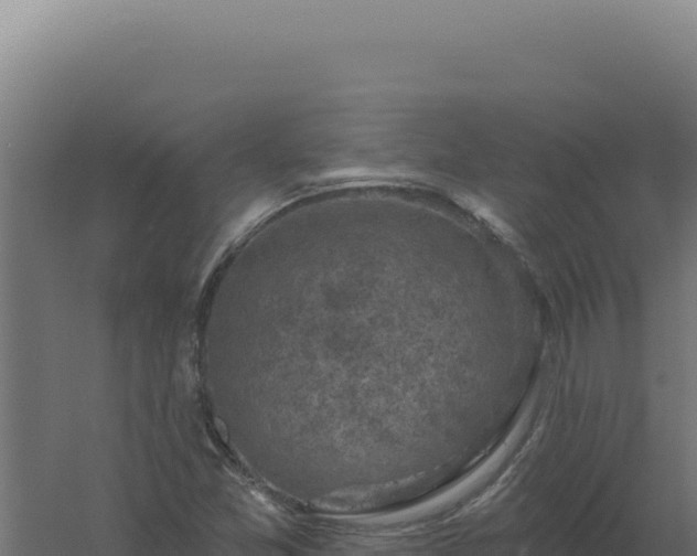 X0000061151357200511241820