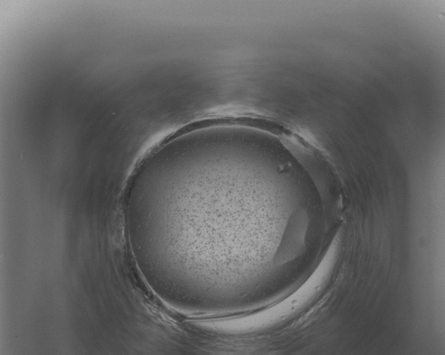 X0000061151358200511241820