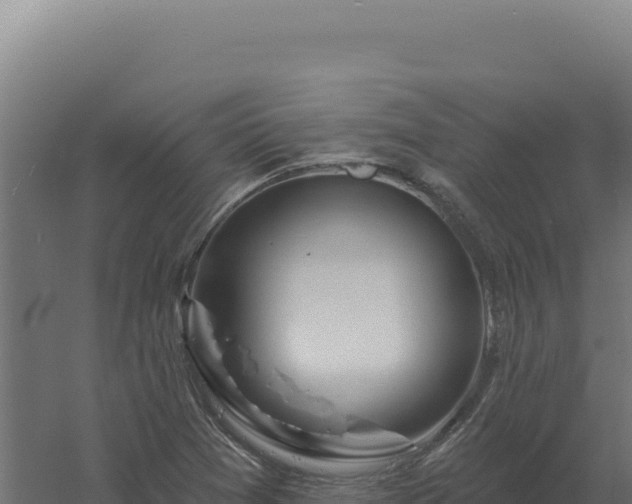 X0000061151361200511241819