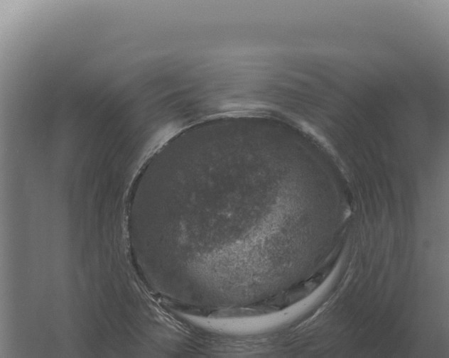 X0000061151362200511241819