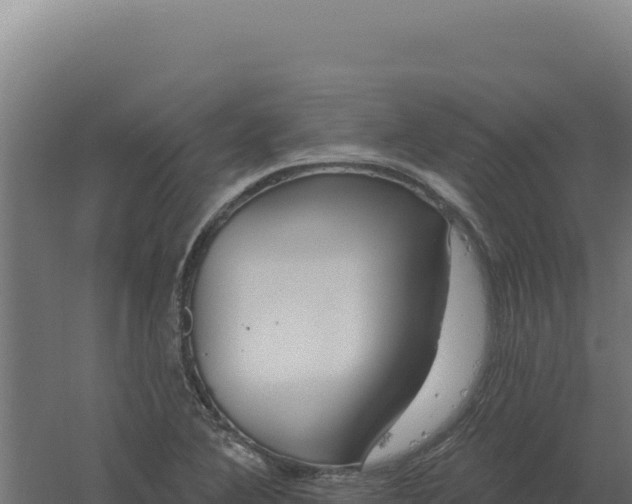 X0000061151364200511241819