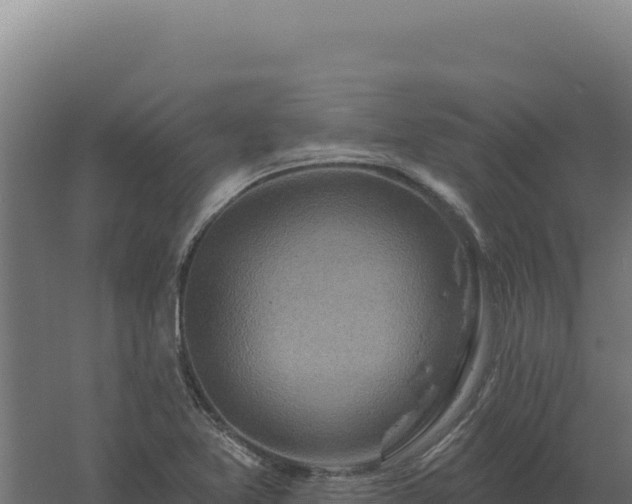 X0000061151365200511241819