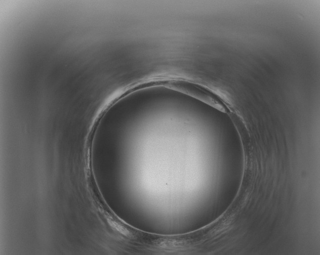 X0000061151366200511241819