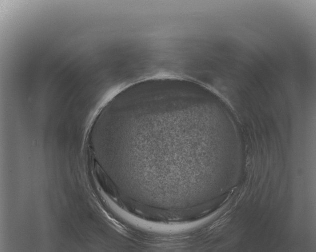 X0000061151367200511241819