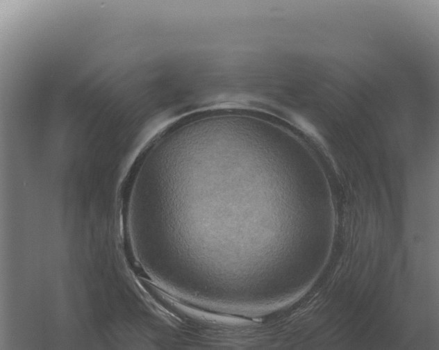 X0000061151368200511241819