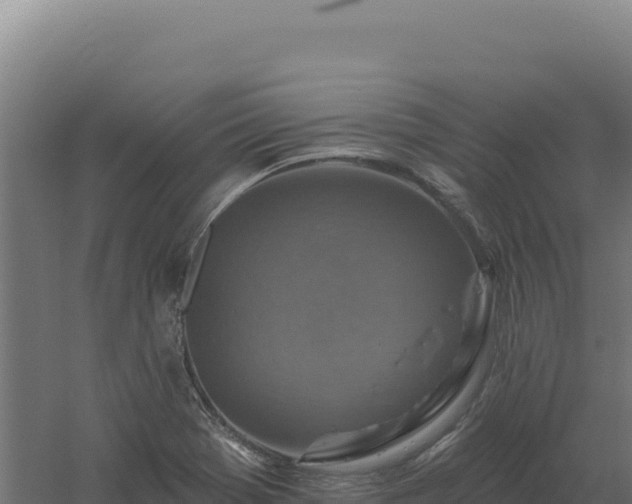 X0000061151369200511241819