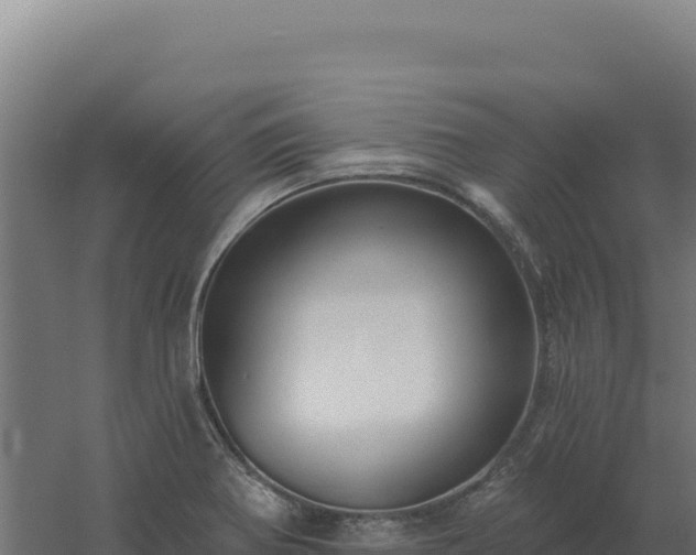 X0000061151370200511241819