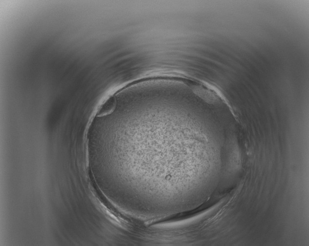 X0000061151371200511241819