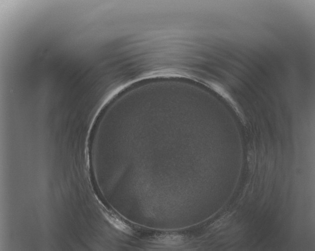 X0000061151372200511241819