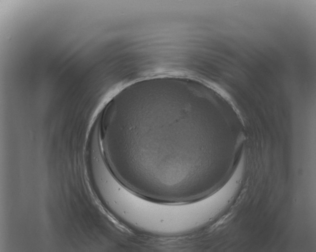 X0000061151373200511241819