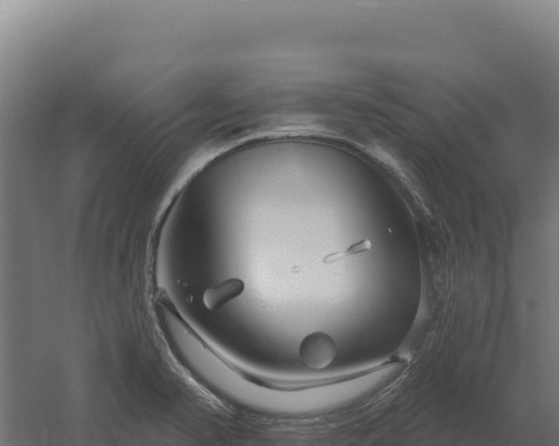 X0000061151374200511241819