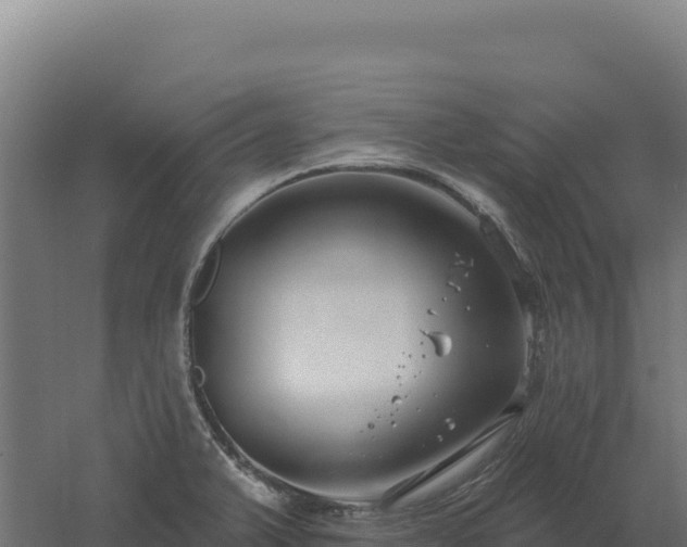 X0000061151375200511241819