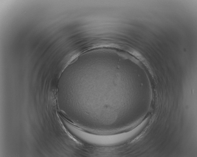 X0000061151377200511241819