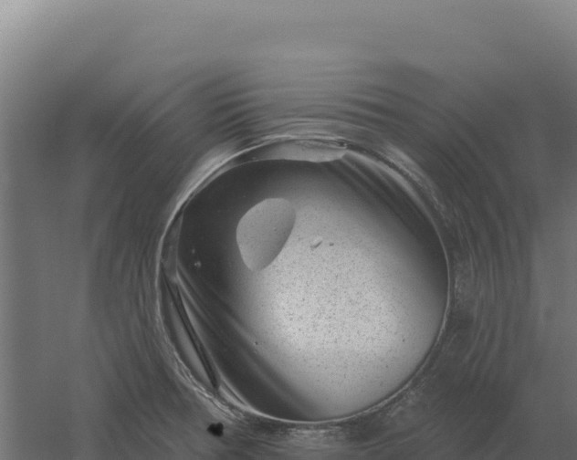 X0000061151378200511241819