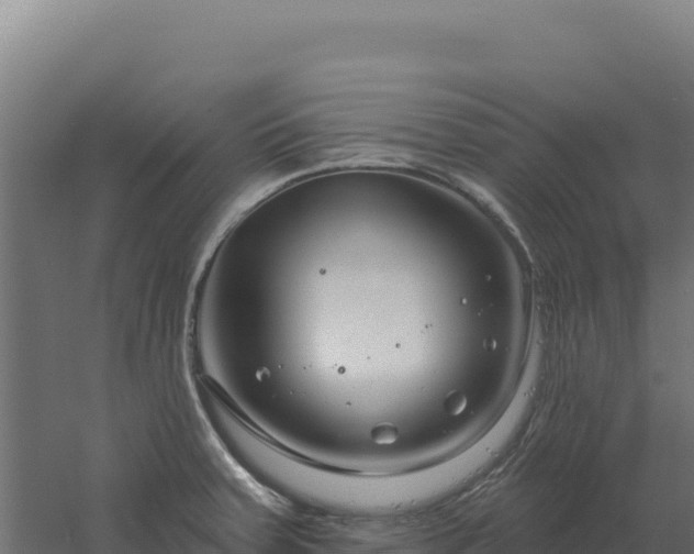 X0000061151379200511241819