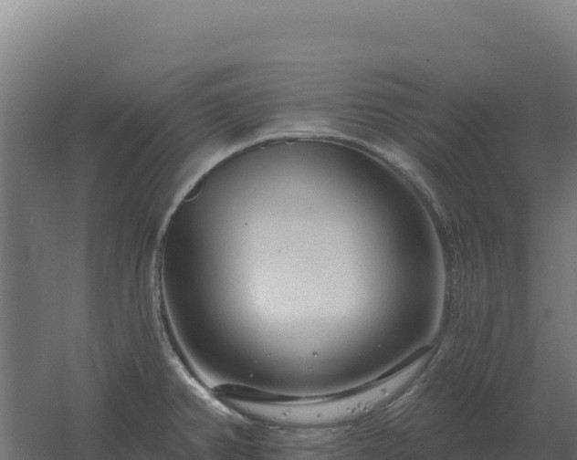 X0000061151382200511241819