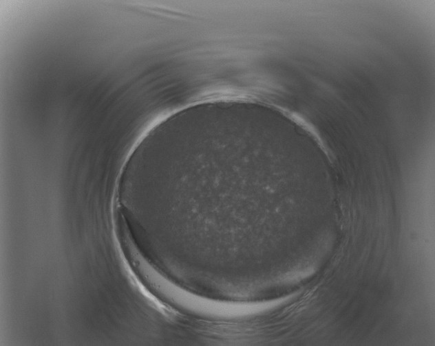 X0000061151383200511241819