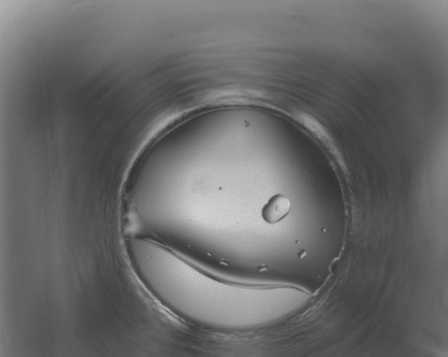 X0000061151384200511241819